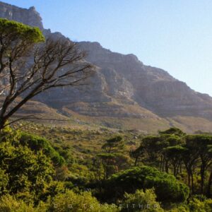 Table Mountain