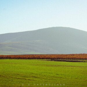 Durbanville Hills