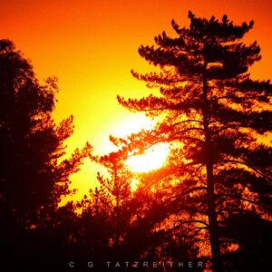 Sunrise Boulevard